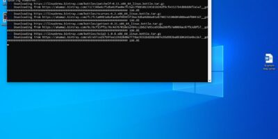 Install Homw Bre w on Windows 10 WSL Windows subsystem for Linux min