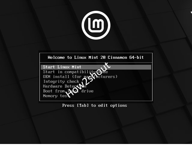 boot Linux Mint 20