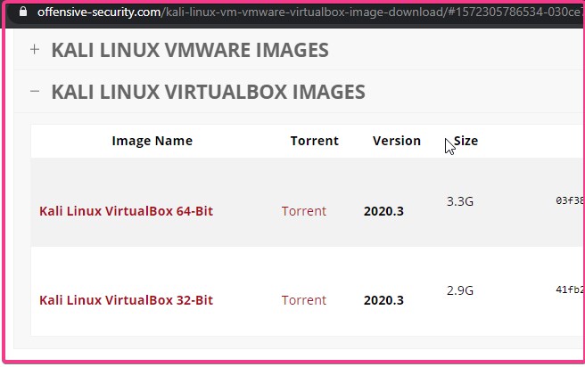 Kali Linux VirtualBox Image