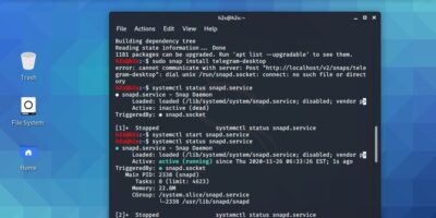 Start SNAPD service on Kali or Ubuntu Linux