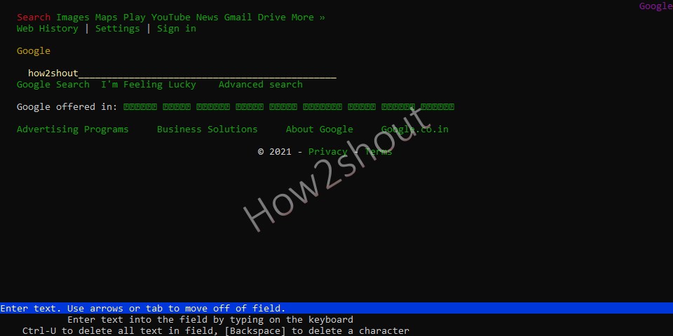 Google Search on Command Terminal browser