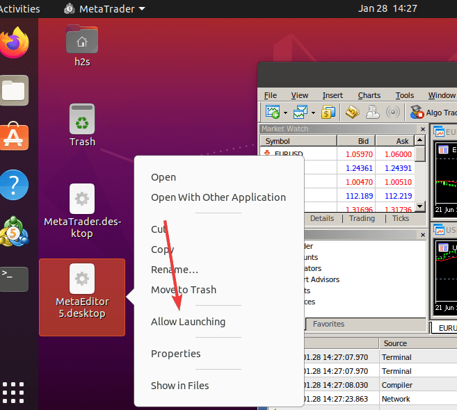 MT4 Linux destop shortcut min