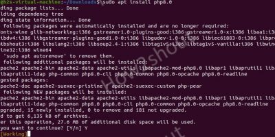 command Install PHP 8.0 on Ubuntu 20.04