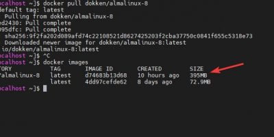 Docker Image of AlmaLinux 8