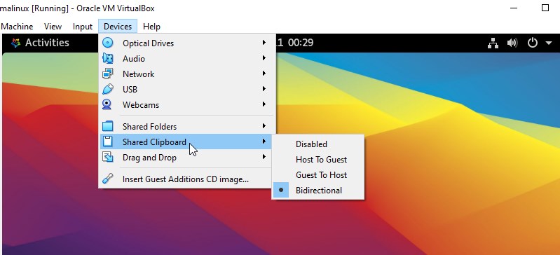 Enable Drag and drop with clip board on virtualbox