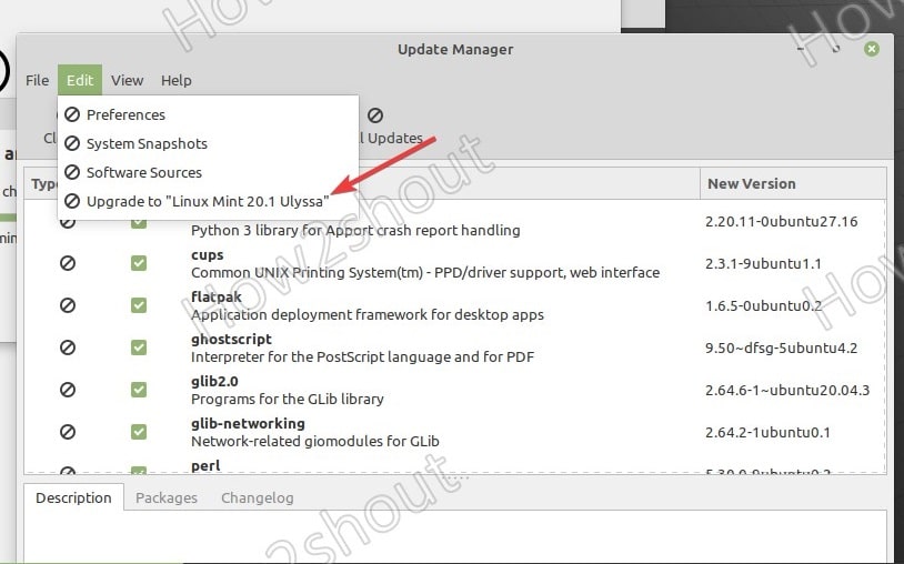 GUI to upgrade Mint 19.3 to Linux Mint 20.1 Ulyssa min