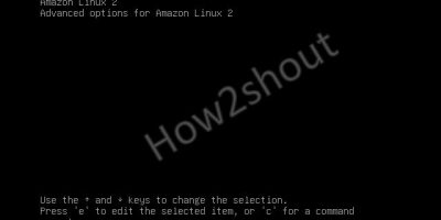Amazon Linux 2 Boot menu1