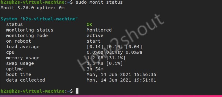 Check Monit Status on Ubuntu