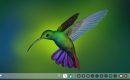 Install Deepin Manjaro Linux