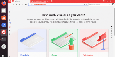 Run Vivaldi Linux browser
