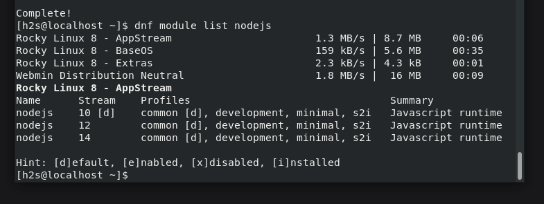Check available Node.js versions to install on Rocky Linux
