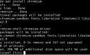 install Chromium Debian 11
