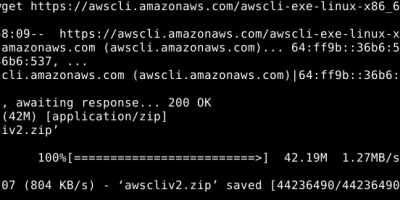 Download AWS CLI installation script on Debian 11