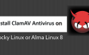 Install ClamAV on Rocky Linux 8 or AlmaLinux