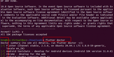Flutter installed Ubuntu 20.04