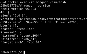 Access mongodb docker container command line
