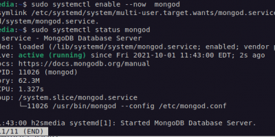 Start MongoDB service on Debian 11