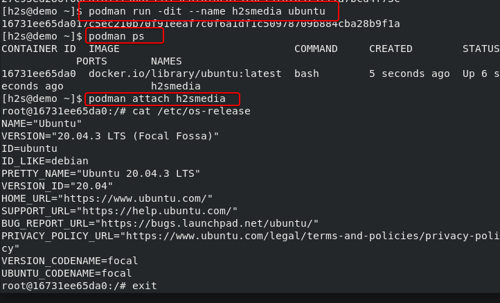 Create container Podman container on AlmaLinux 8 or Rocky 8
