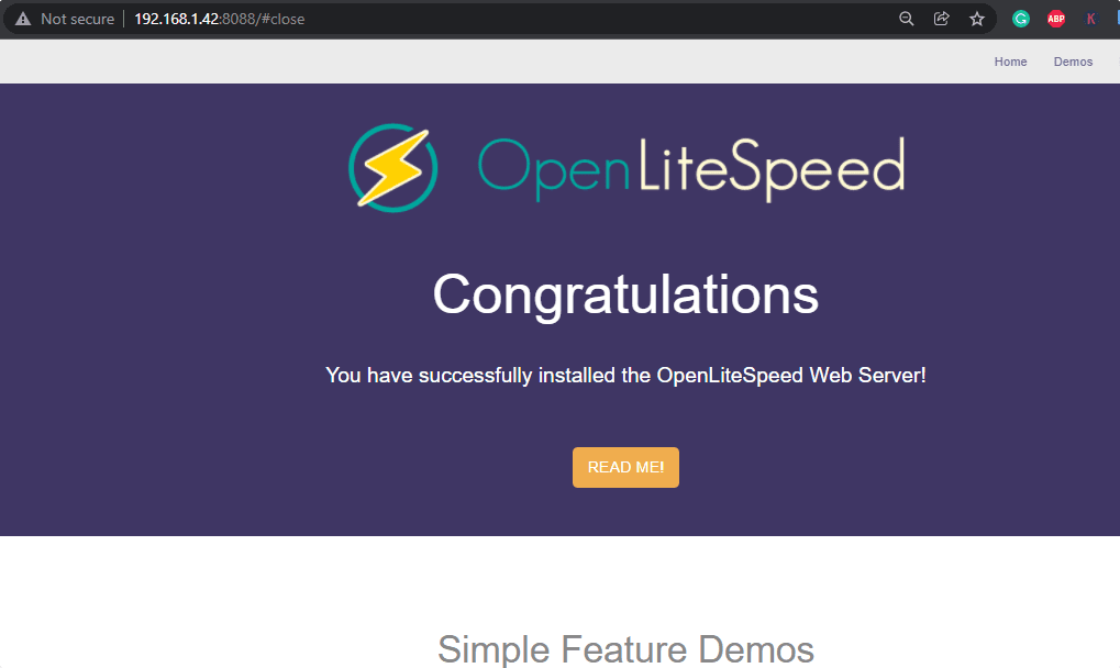 OpenLiteSpeed ​​demo page