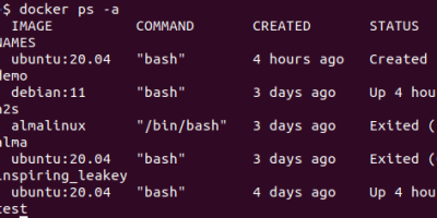 command list all stopped and runnin docker containers