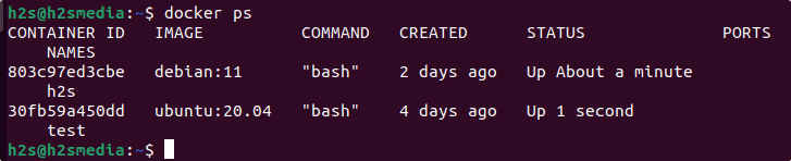 command to sahow only running docker container
