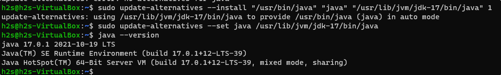 Check the Oracle JDK JRE version ubuntu 20.04 LTS