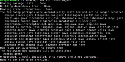 Install zabbix agent debian 11 bullseye linux