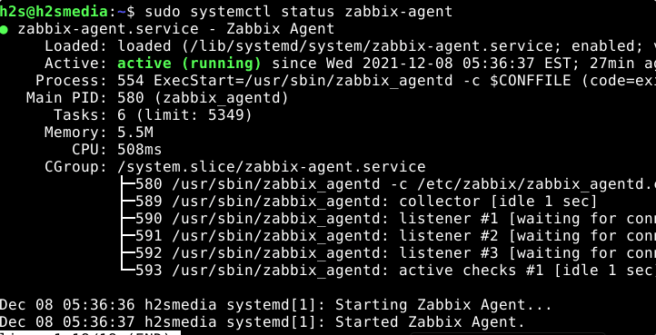 Zabbix Agent Service debian 11