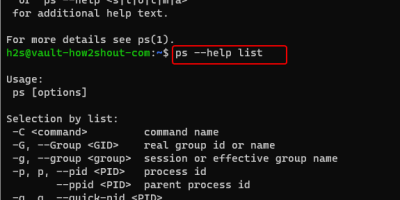 get help with ps linux command