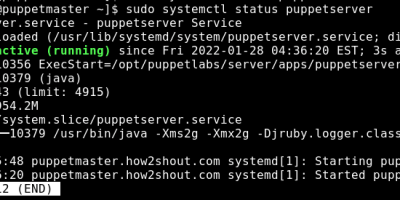 Start Puppet Server on Rocky AlmaLinxu 8