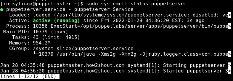 Start Puppet Server on Rocky almalinux 8