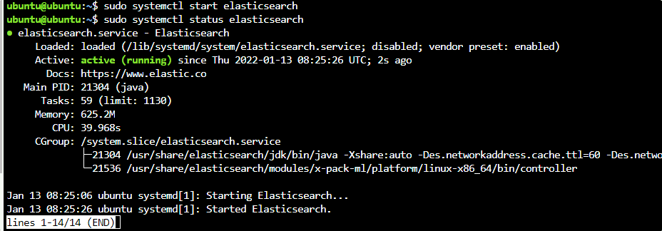 Start and enable elastic search service