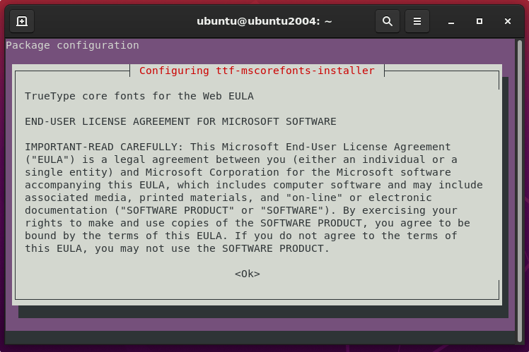 Accept Microsoft Fonts Linux terms and conditions