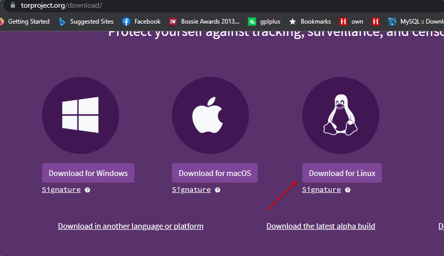 Download Tor Browser RPM package