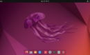 customize Ubuntu 22.04 Dock panel