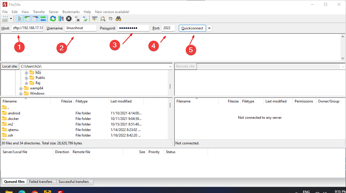 Connect SFTPGo using remote client
