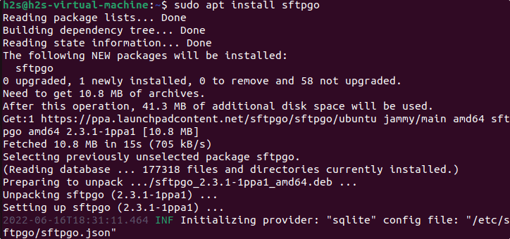 Install SFTPGo on Linux