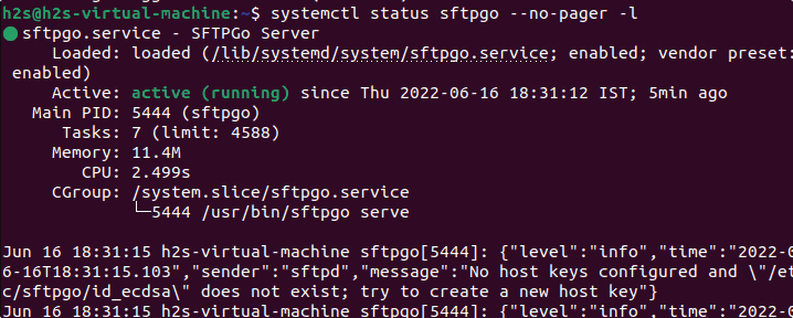 check service status of SFTPGO Ubuntu 22.04