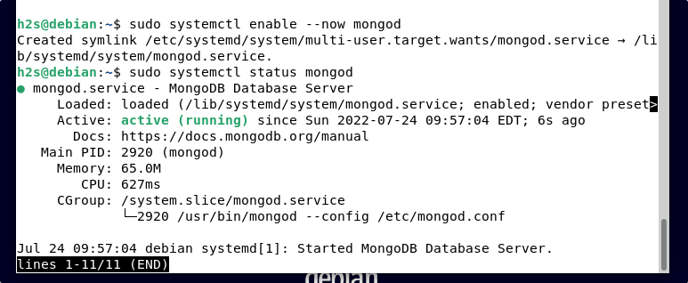 Enable MongoDB Service