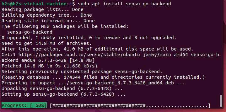 Install Sensu Go backend on Ubuntu Linux