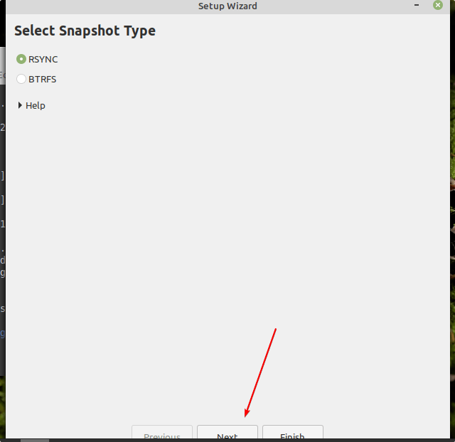 Select Snapshot Type file system
