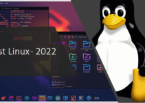 Top 10 popular Linux distros in August 2022