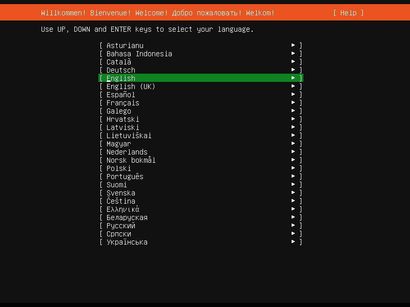 Select Server installation language