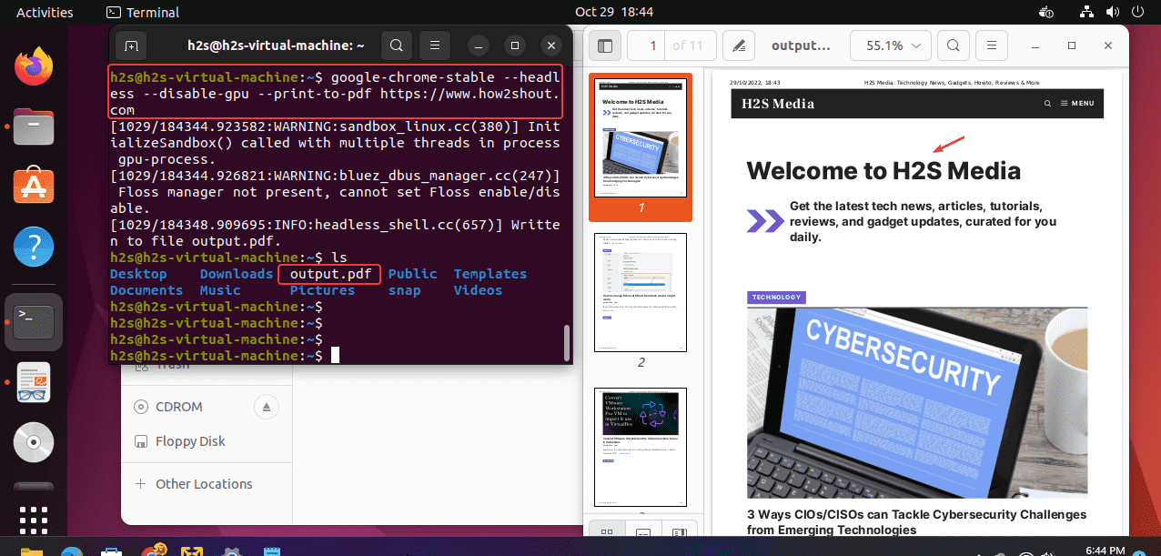 Chrome headless save PDF Ubuntu