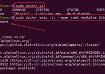 How to create Alpine Container in Docker