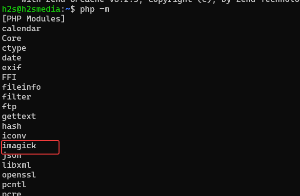 php m command result