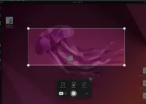 8 Best Ubuntu Screen Recorder Apps to Install in 2024