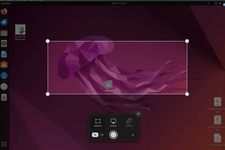 Best Ubuntu Screen Recorder Apps