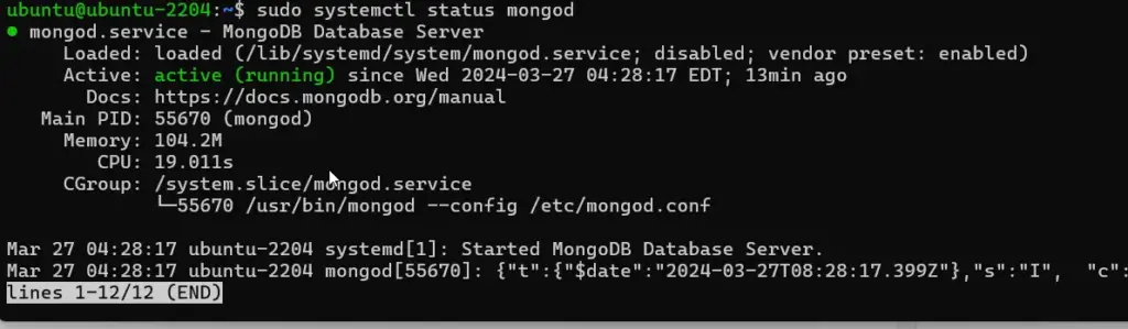 mongoDB service status
