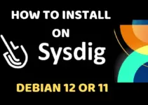 Installing and Using Sysdig on Debian 12 or 11 Linux